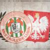 niezDarek